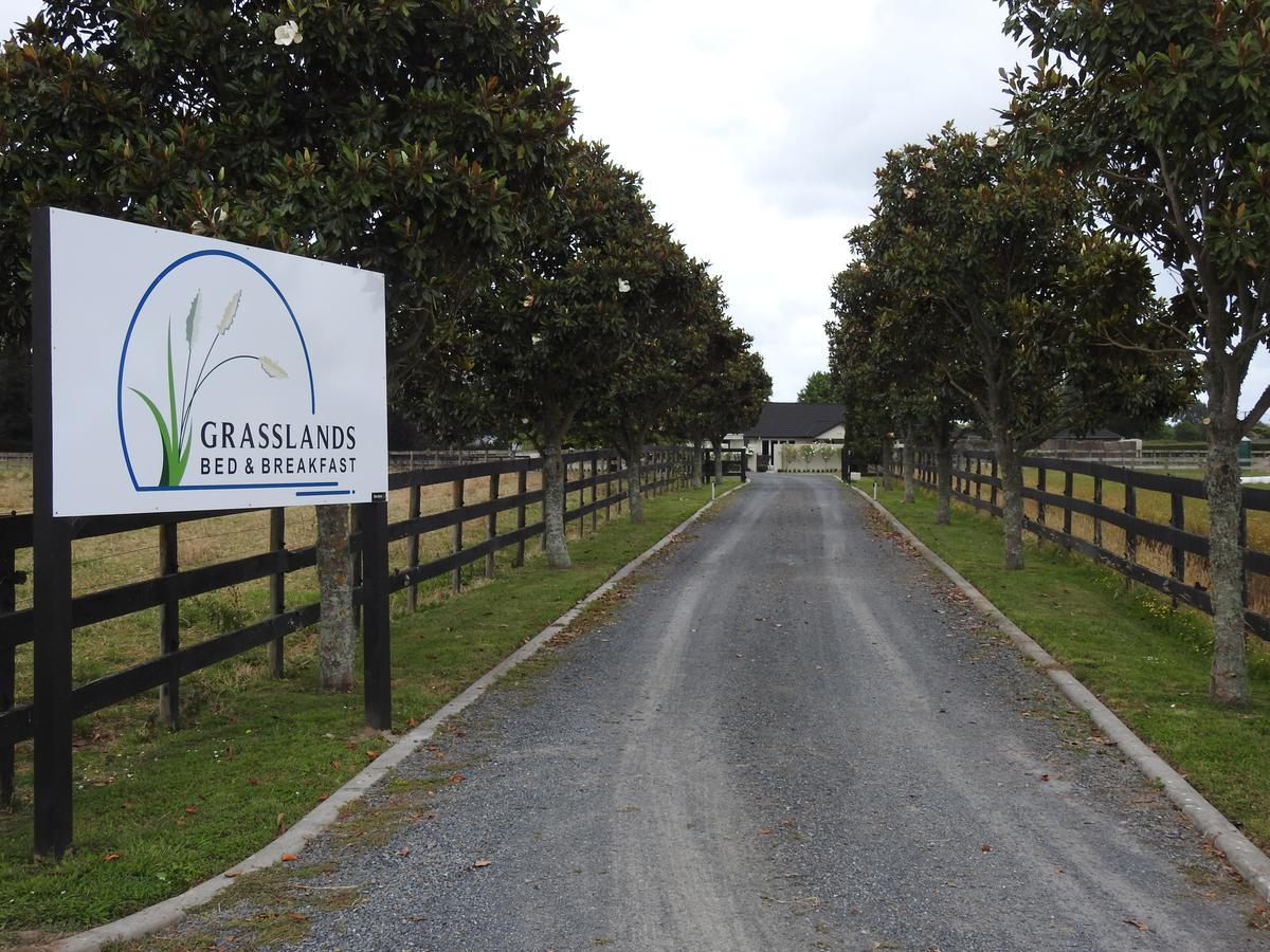Grasslands Bed & Breakfast Cambridge Bagian luar foto