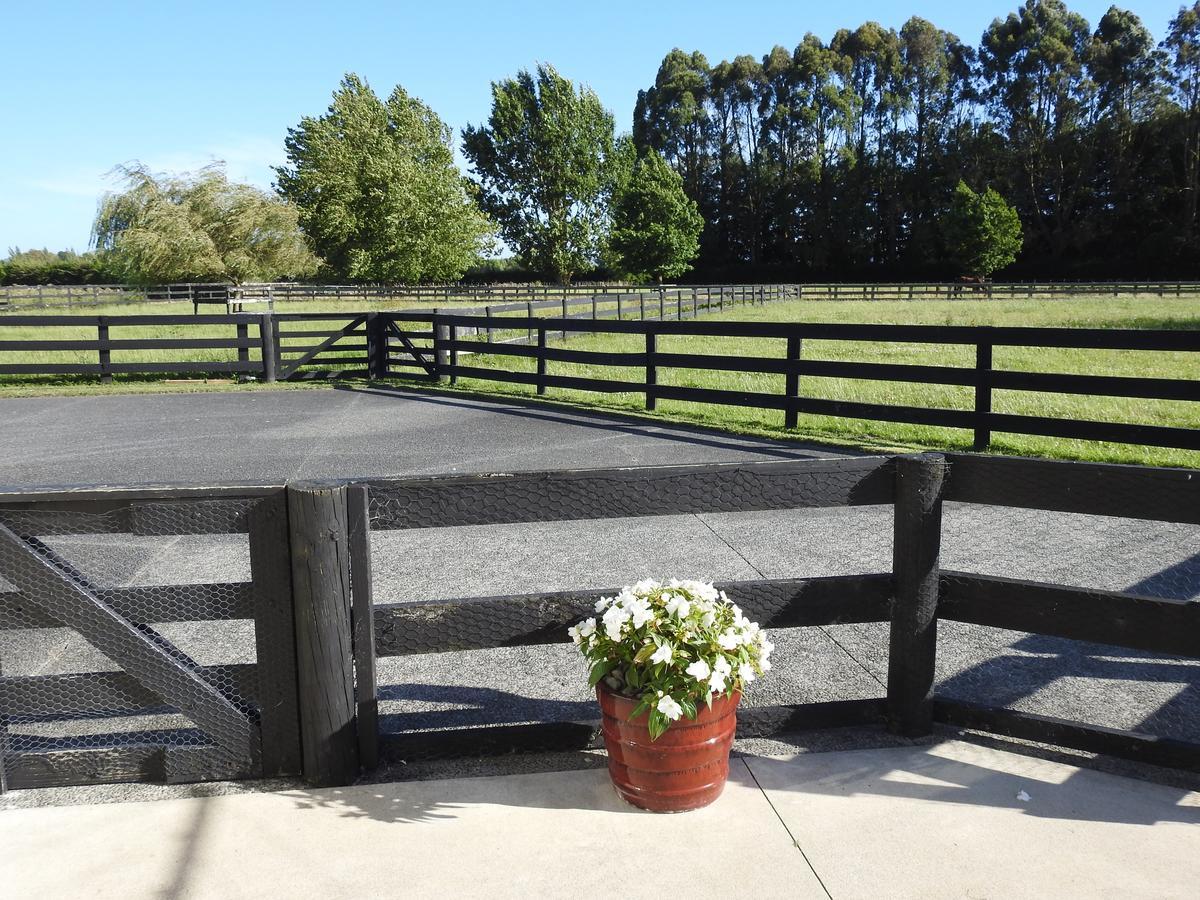 Grasslands Bed & Breakfast Cambridge Bagian luar foto