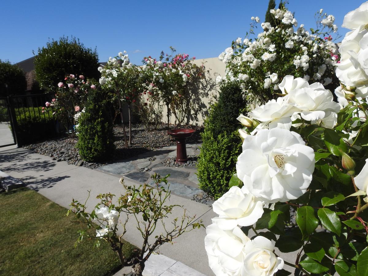 Grasslands Bed & Breakfast Cambridge Bagian luar foto